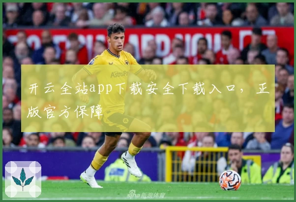 开云全站app下载安全下载入口，正版官方保障
